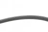 <strong>Пас поліклиновий Skoda SuperB 01-08/VW Passat B5/H CONTITECH 4PK855 (фото 2)</strong>