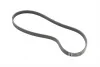 <strong>Пас поліклиновий Skoda SuperB 01-08/VW Passat B5/H CONTITECH 4PK855 (фото 5)</strong>