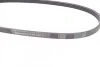 <strong>Пас поліклиновий BMW 7 (E65/E66/E67)/X5 (E53)/Mazda CONTITECH 4PK860 (фото 2)</strong>