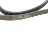 <strong>Ремень поликлиновой Conti CONTITECH 4PK860ELAST (фото 3)</strong>