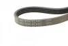 <strong>Ремень поликлиновой Conti CONTITECH 4PK860ELAST (фото 4)</strong>