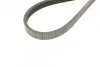 <strong>Ремінь поліклінової (вир-во ContiTech) CONTITECH 4PK867ELAST (фото 3)</strong>
