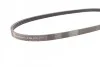 <strong>Пас поліклиновий Fiat Doblo 1.6i 01- CONTITECH 4PK875 (фото 2)</strong>