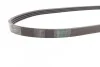 <strong>Пас поліклиновий Mazda 323 1.3-1.8 89-04/BMW 3 (E4 CONTITECH 4PK885 (фото 2)</strong>