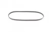 <strong>Пас поліклиновий Mazda 323 1.3-1.8 89-04/BMW 3 (E4 CONTITECH 4PK885 (фото 5)</strong>