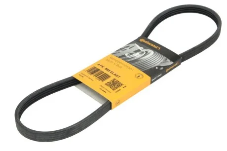Ремінь поліклиновий для Hyundai, Mazda, Audi, Fiat, Subaru CONTITECH 4PK885ELAST фото товару