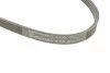 <strong>Пас поліклиновий Peugeot Expert 1.6 96-00/Toyota A CONTITECH 4PK900 (фото 4)</strong>