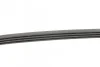 <strong>Пас поліклиновий Renault Kangoo/Clio 1.2i 97-/Fiat CONTITECH 4PK905 (фото 2)</strong>