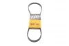 <strong>Пас поліклиновий Renault Kangoo/Logan 1.4/1.6 04-/ CONTITECH 4PK916ELAST (фото 1)</strong>