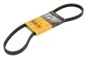 <strong>Пас поліклиновий BMW 3 (E46)/X3 (E83) 01-07/Fiat S CONTITECH 4PK917ELAST (фото 1)</strong>