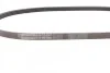 <strong>Пас поліклиновий Ford Transit 2.2TDCI CONTITECH 4PK920 (фото 2)</strong>