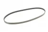 <strong>Пас поліклиновий Renault Kangoo/Nissan Kubistar 1 CONTITECH 4PK925 (фото 5)</strong>