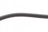 <strong>Пас поліклиновий Fiat Fiorino 1.4/1.6i 93-01 Mitsu CONTITECH 4PK938 (фото 4)</strong>