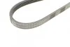 <strong>Ремінь поліклиновий Infiniti FX35 FX45 03>08 ContiTech CONTITECH 4PK945 (фото 3)</strong>