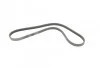 <strong>Ремінь поліклиновий Infiniti FX35 FX45 03>08 ContiTech CONTITECH 4PK945 (фото 5)</strong>