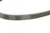 <strong>Ремень поликлиновой Conti CONTITECH 4PK970 (фото 4)</strong>