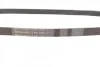 <strong>Пас поліклиновий BMW X5 (E53)/Mazda 626/MX-5/Opel CONTITECH 5PK1025 (фото 2)</strong>