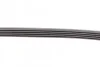 <strong>Пас поліклиновий BMW X5 (E53)/Mazda 626/MX-5/Opel CONTITECH 5PK1025 (фото 3)</strong>