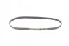 <strong>Пас поліклиновий BMW X5 (E53)/Mazda 626/MX-5/Opel CONTITECH 5PK1025 (фото 4)</strong>