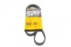 <strong>Пас поліклиновий Mazda 323/626 1.8-2.0 97-02/Opel CONTITECH 5PK1030 (фото 1)</strong>