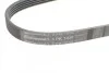 <strong>Пас поліклиновий Mazda 323/626 1.8-2.0 97-02/Opel CONTITECH 5PK1030 (фото 4)</strong>