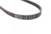 <strong>Пас поліклиновий Galant/Lancer 95-04/To CONTITECH 5PK1070 (фото 2)</strong>