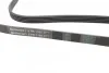 <strong>Пас поліклиновий Citroen Jumper 2.8HDI 00-/Fiat Ducato CONTITECH 5PK1100 (фото 2)</strong>