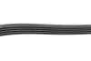 <strong>Пас поліклиновий Citroen Jumper 2.8HDI 00-/Fiat Ducato CONTITECH 5PK1100 (фото 3)</strong>