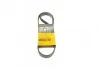 <strong>Ремінь генератора поліклиновий CONTITECH 5PK1121EXTRA (фото 1)</strong>