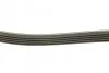 <strong>Ремінь генератора поліклиновий CONTITECH 5PK1121EXTRA (фото 2)</strong>