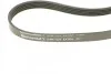 <strong>Ремінь генератора поліклиновий CONTITECH 5PK1121EXTRA (фото 3)</strong>