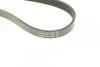 <strong>Ремінь генератора поліклиновий CONTITECH 5PK1121EXTRA (фото 4)</strong>