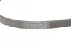 <strong>Ремінь поліклиновий Renault Trafic 1,9DCI 01> ContiTech CONTITECH 5PK1125 (фото 3)</strong>