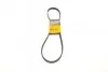 <strong>Ремінь поліклиновий Renault Kangoo 1,5d 01>05 ContiTech CONTITECH 5PK1135 (фото 1)</strong>