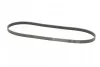 <strong>Ремінь поліклиновий Renault Kangoo 1,5d 01>05 ContiTech CONTITECH 5PK1135 (фото 4)</strong>