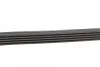 <strong>Комплект пасу поліклинового Renault Clio/Megane/S CONTITECH 5PK1135K2 (фото 2)</strong>