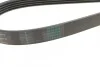 <strong>Комплект пасу поліклинового Renault Clio/Megane/S CONTITECH 5PK1135K2 (фото 3)</strong>