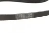 <strong>Комплект пасу поліклинового Fiat Doblo/Opel Combo CONTITECH 5PK1150K1 (фото 3)</strong>