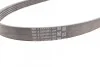 <strong>Ремінь поліклиновий CONTITECH 5PK1166EXTRA (фото 2)</strong>