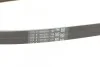 <strong>Ремінь поліклиновий Hyundai I30 1,4i 14>, Kia Rio 1,25i 11> ContiTech CONTITECH 5PK1212 (фото 3)</strong>