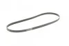 <strong>Ремінь поліклиновий Hyundai I30 1,4i 14>, Kia Rio 1,25i 11> ContiTech CONTITECH 5PK1212 (фото 5)</strong>