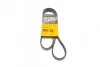 <strong>Пас поліклиновий Opel Combo 1.2/1.4 98-/Peugeot 40 CONTITECH 5PK1230 (фото 1)</strong>