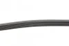 <strong>Пас поліклиновий Opel Combo 1.2/1.4 98-/Peugeot 40 CONTITECH 5PK1230 (фото 2)</strong>