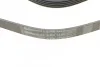 <strong>Пас поліклиновий Opel Combo 1.2/1.4 98-/Peugeot 40 CONTITECH 5PK1230 (фото 4)</strong>