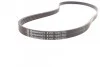 <strong>Пас поліклиновий CONTITECH 5PK1240 (фото 2)</strong>