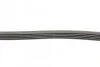 <strong>Пас поліклиновий Avensis/Corolla 2.0D 03-09 CONTITECH 5PK1250 (фото 2)</strong>