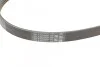 <strong>Пас поліклиновий Avensis/Corolla 2.0D 03-09 CONTITECH 5PK1250 (фото 3)</strong>