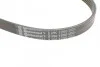 <strong>Пас поліклиновий Avensis/Corolla 2.0D 03-09 CONTITECH 5PK1250 (фото 4)</strong>
