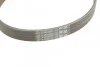 <strong>Пас поліклиновий MB (W168)/Renault Megane I 1.6 96 CONTITECH 5PK1270 (фото 3)</strong>