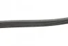 <strong>Пас поліклиновий MB A-class (W168) 97-04 CONTITECH 5PK1290 (фото 2)</strong>